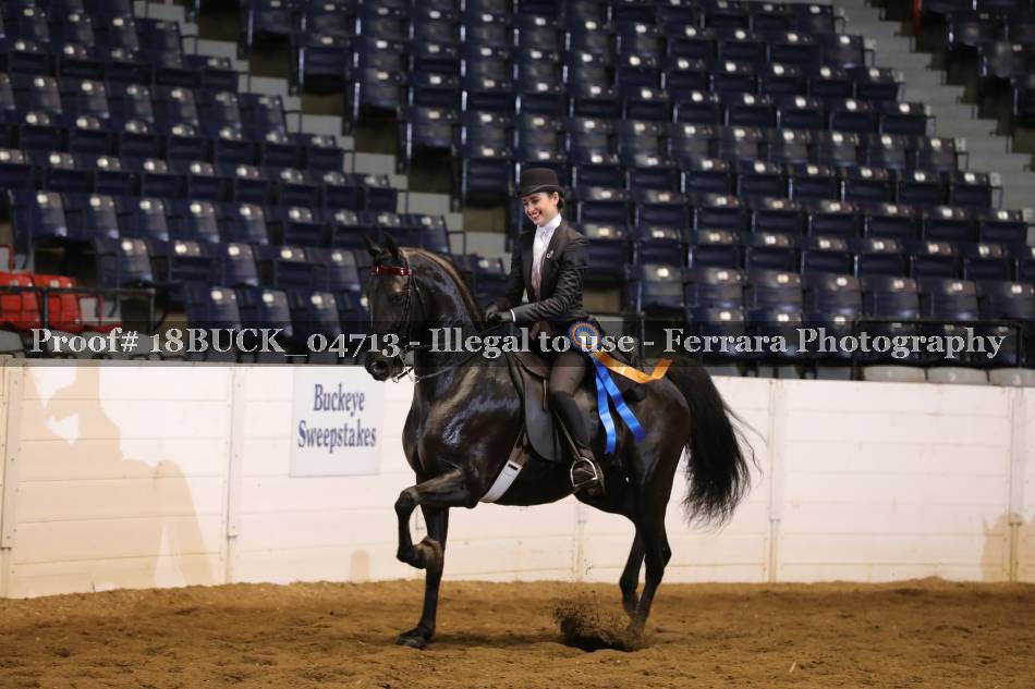Proof 18BUCK_04713