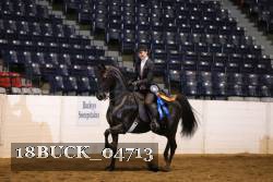 18BUCK_04713 proof