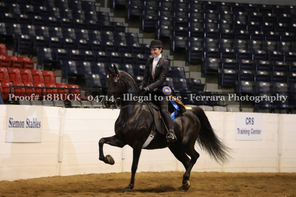 Proof 18BUCK_04714