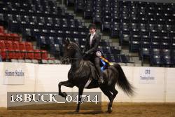 18BUCK_04714 proof