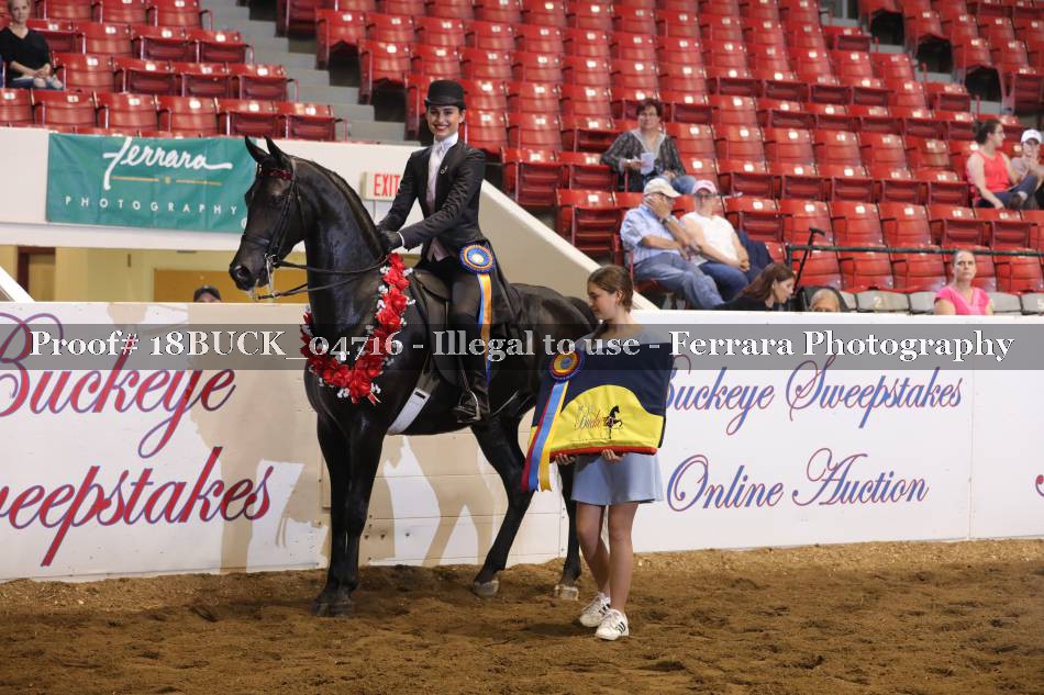 Proof 18BUCK_04716