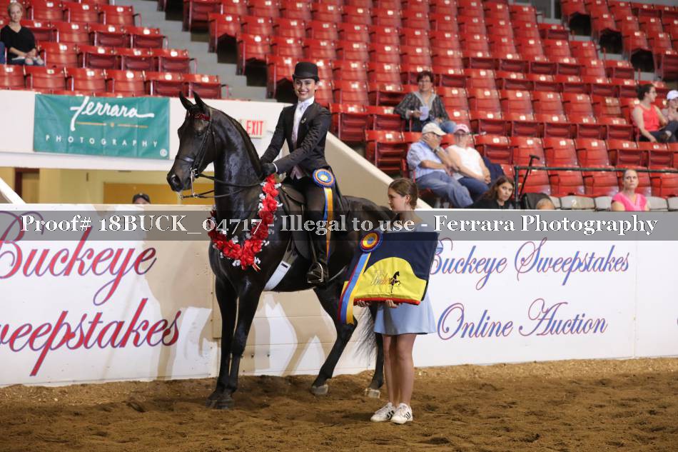 Proof 18BUCK_04717