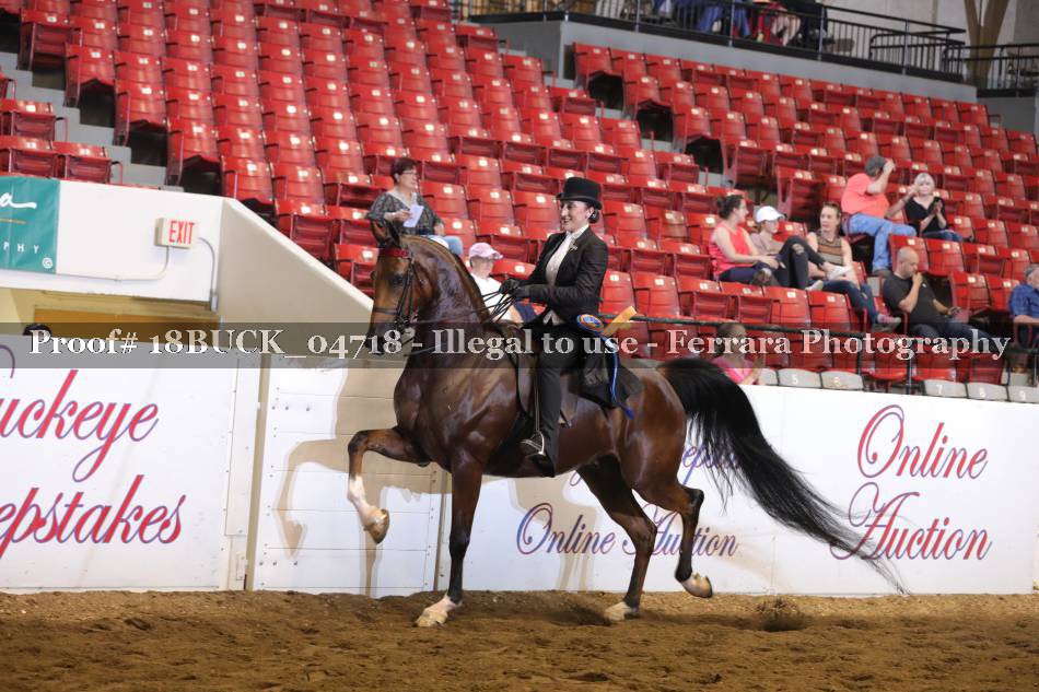 Proof 18BUCK_04718