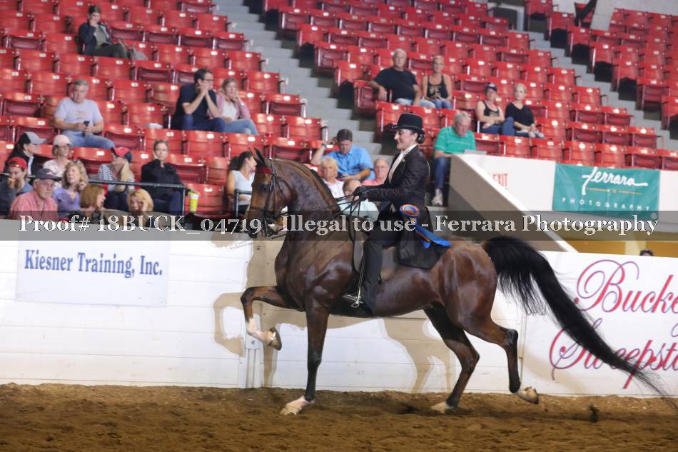 Proof 18BUCK_04719