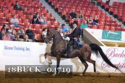 18BUCK_04719 proof