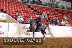 18BUCK_04720 proof
