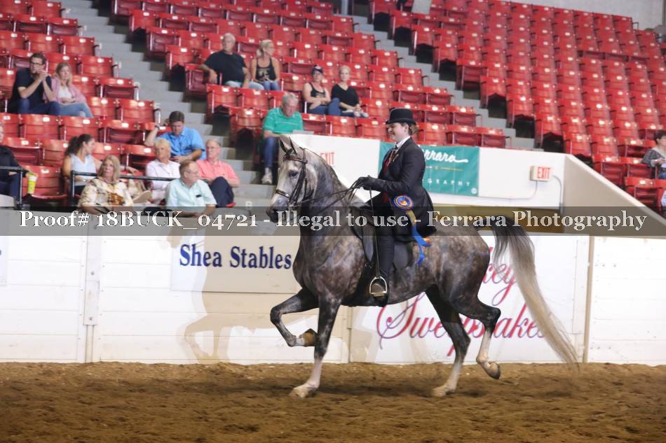 Proof 18BUCK_04721