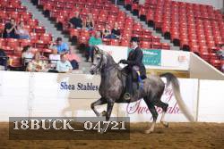 18BUCK_04721 proof