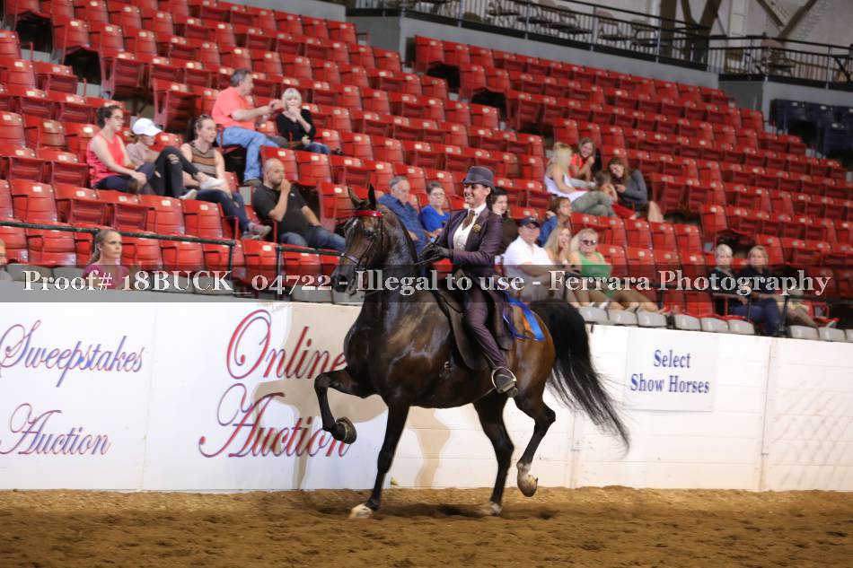 Proof 18BUCK_04722