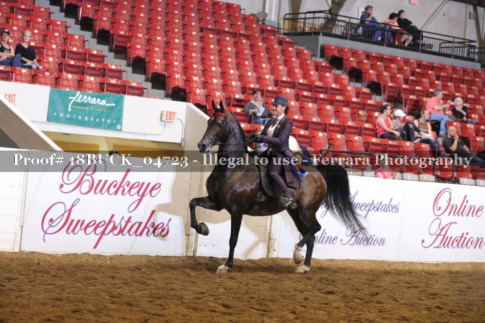 Proof 18BUCK_04723