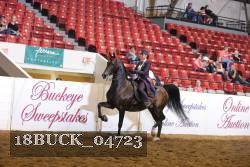 18BUCK_04723 proof