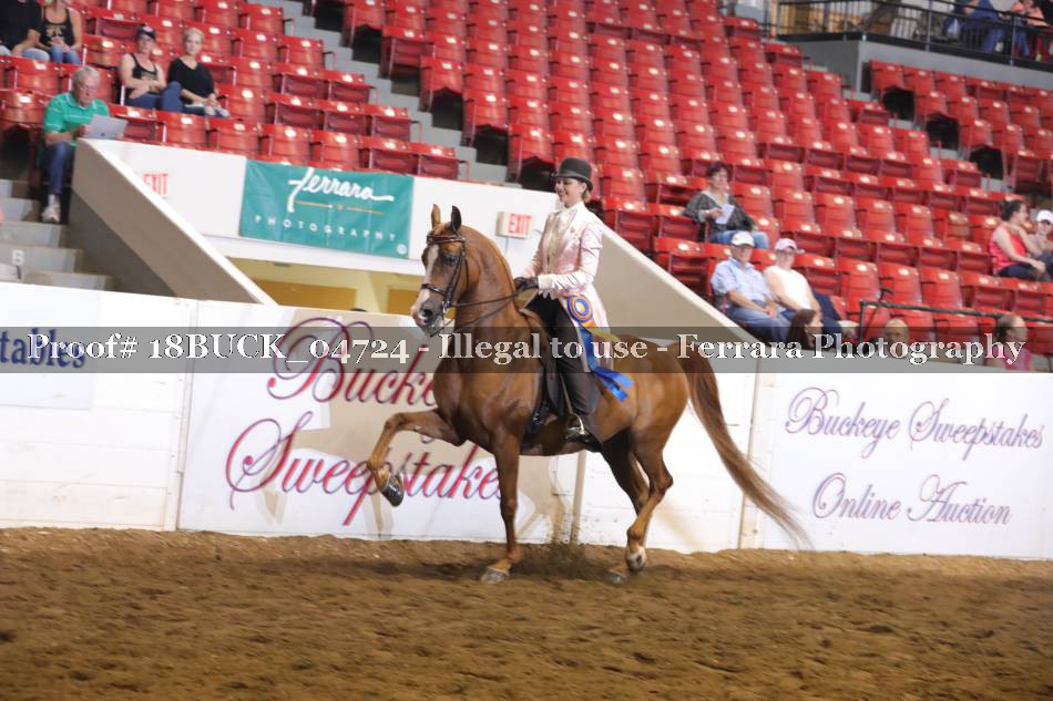 Proof 18BUCK_04724