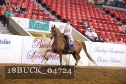 18BUCK_04724 proof