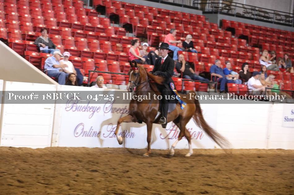 Proof 18BUCK_04725