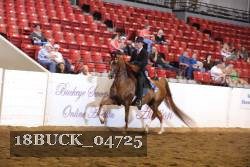 18BUCK_04725 proof