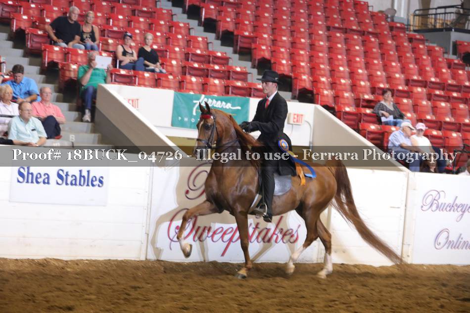 Proof 18BUCK_04726