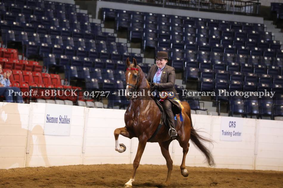 Proof 18BUCK_04727