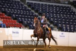 18BUCK_04727 proof