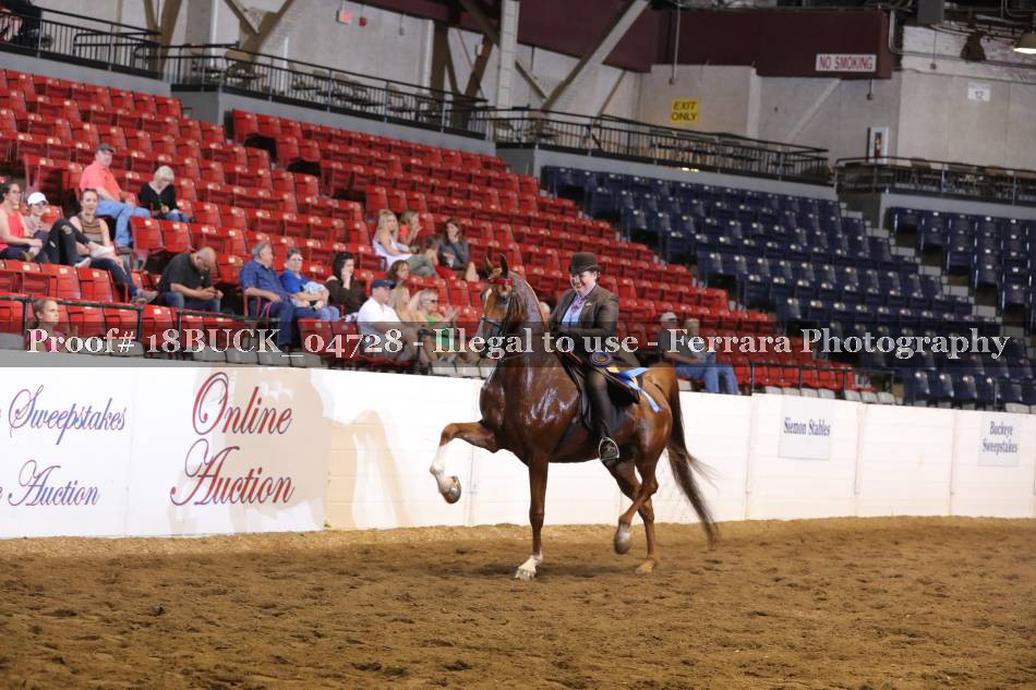 Proof 18BUCK_04728