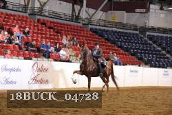 18BUCK_04728 proof