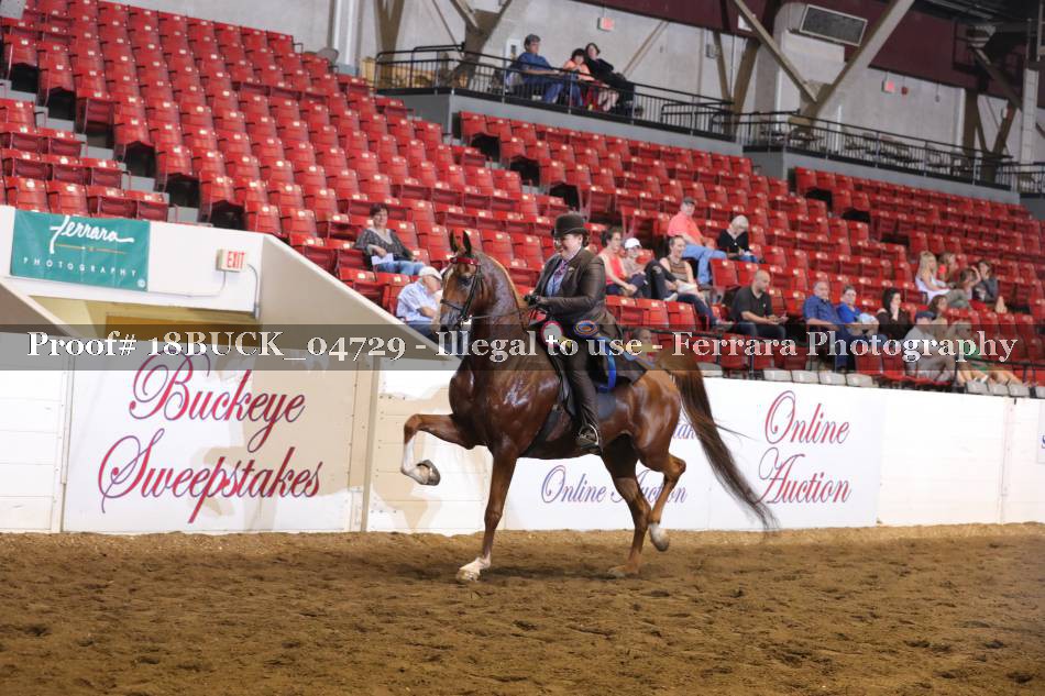 Proof 18BUCK_04729