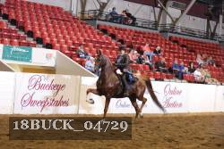 18BUCK_04729 proof