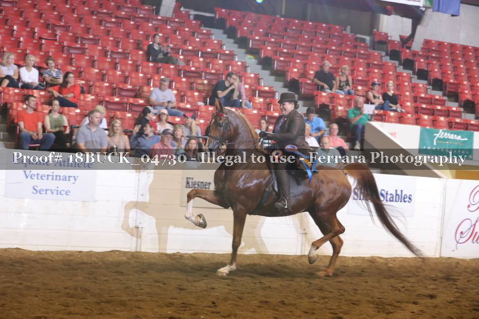 Proof 18BUCK_04730