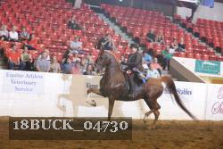 18BUCK_04730 proof