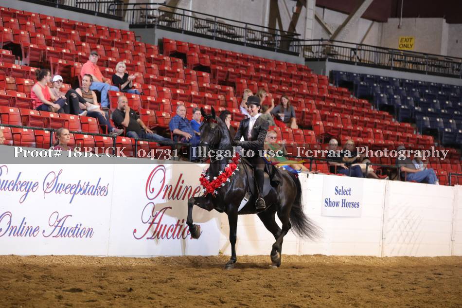 Proof 18BUCK_04731