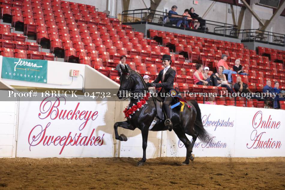 Proof 18BUCK_04732