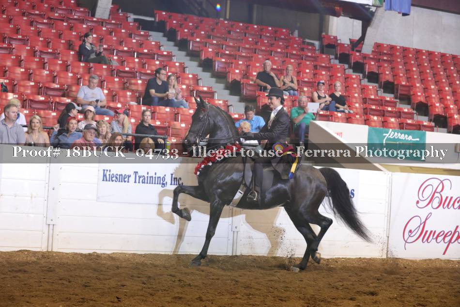 Proof 18BUCK_04733