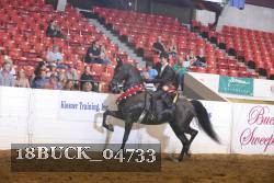 18BUCK_04733 proof