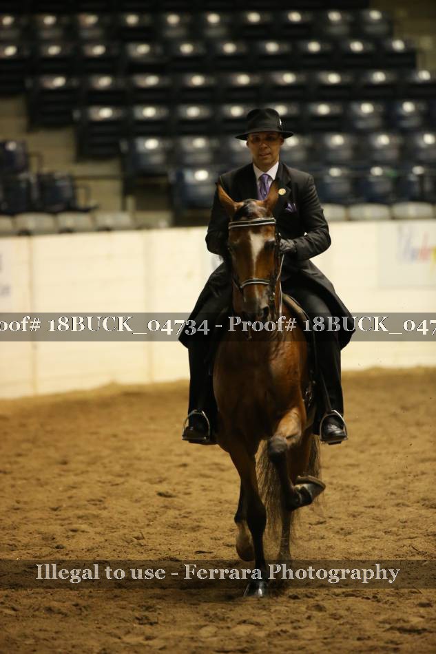 Proof 18BUCK_04734