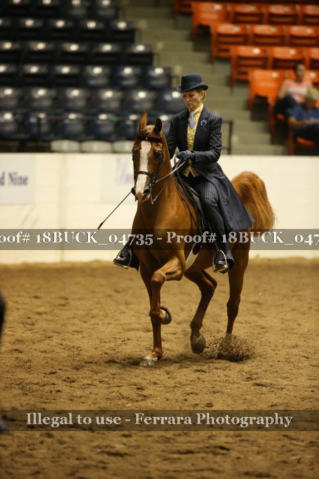 Proof 18BUCK_04735
