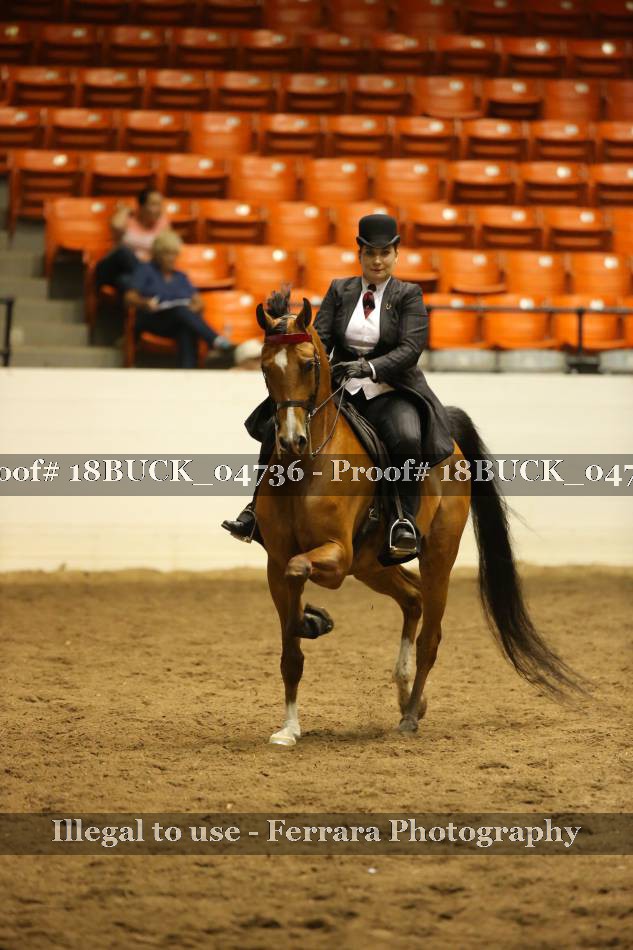 Proof 18BUCK_04736