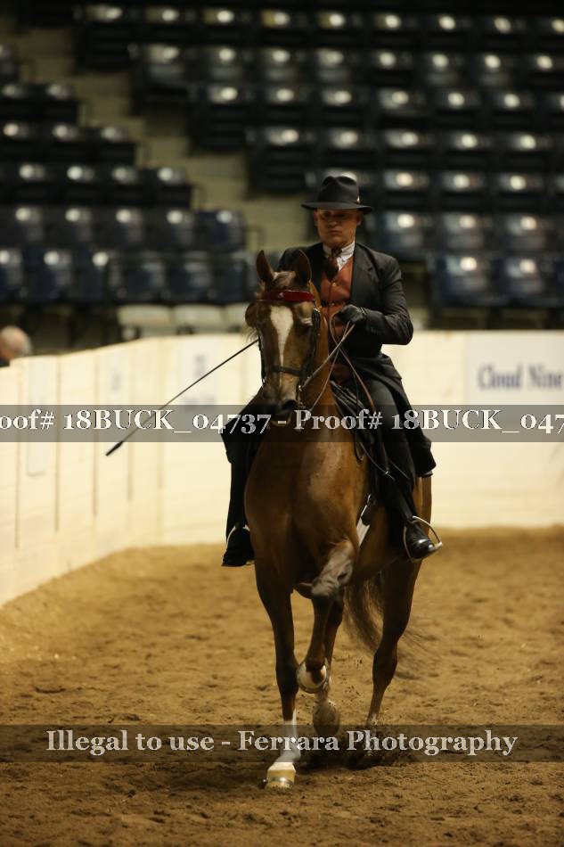 Proof 18BUCK_04737