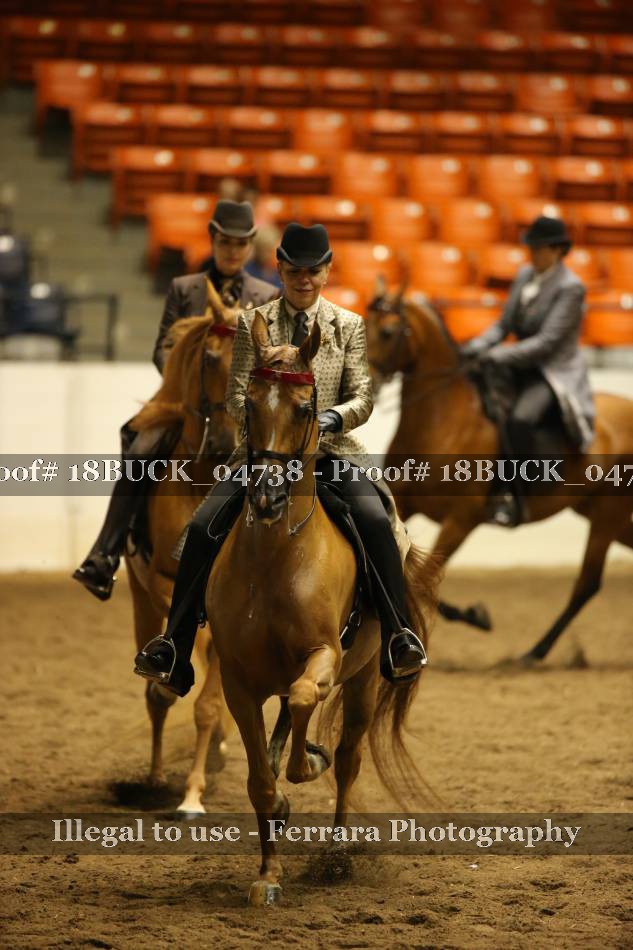 Proof 18BUCK_04738