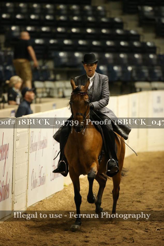 Proof 18BUCK_04739