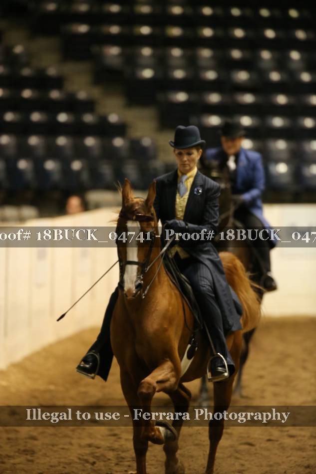 Proof 18BUCK_04741