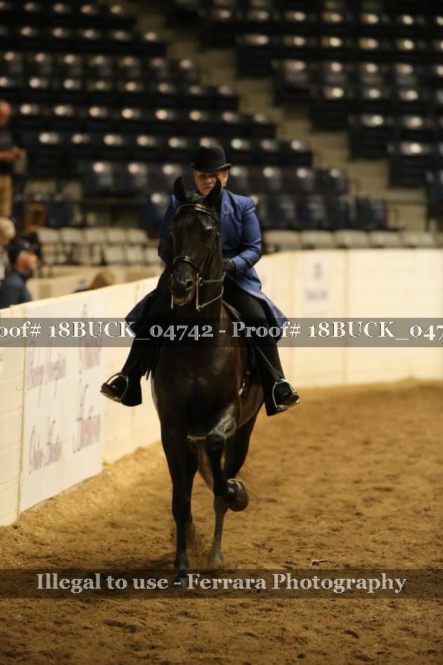 Proof 18BUCK_04742