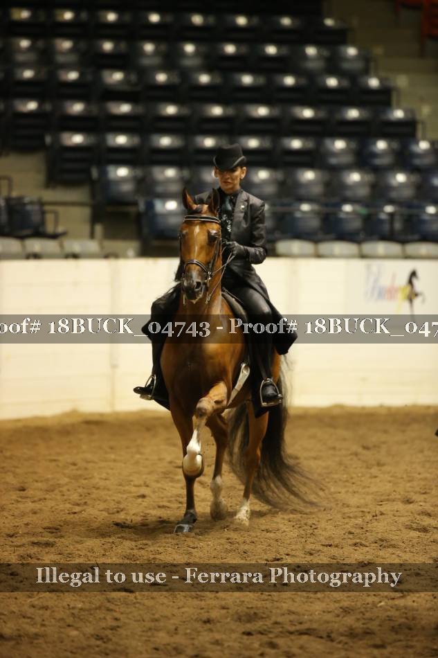 Proof 18BUCK_04743
