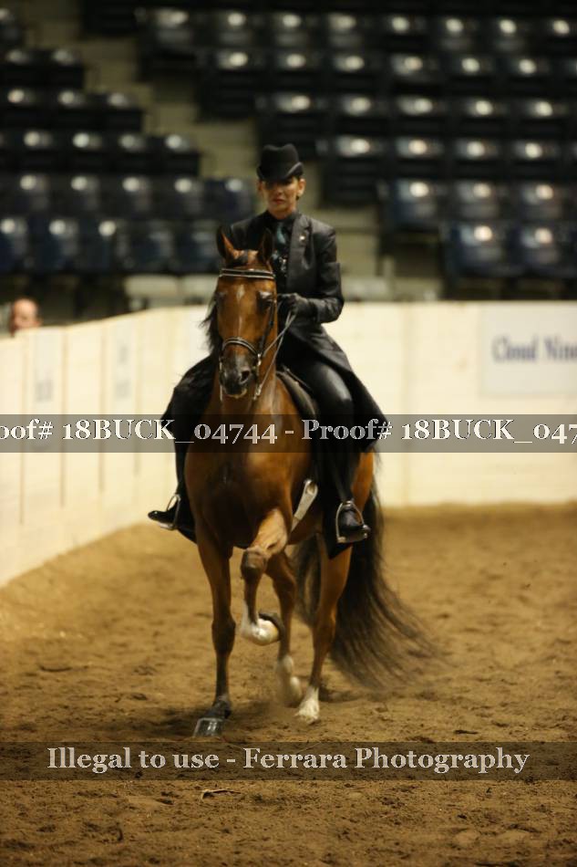 Proof 18BUCK_04744