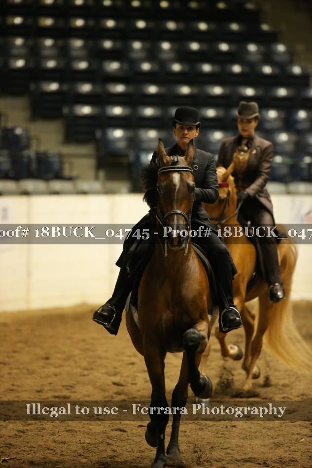 Proof 18BUCK_04745