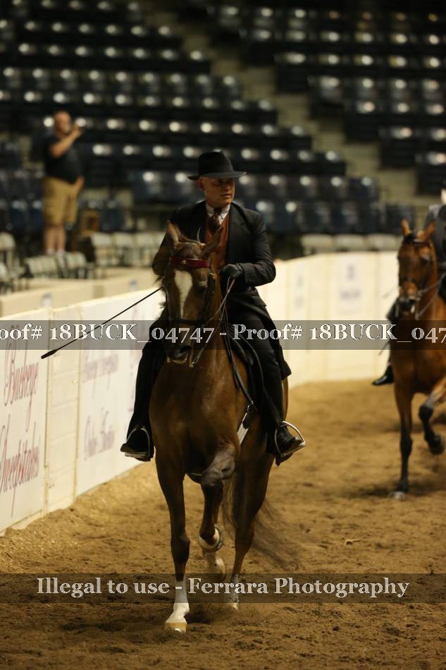 Proof 18BUCK_04747