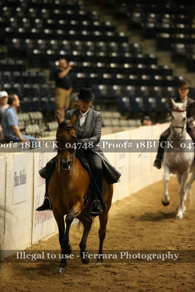 Proof 18BUCK_04748
