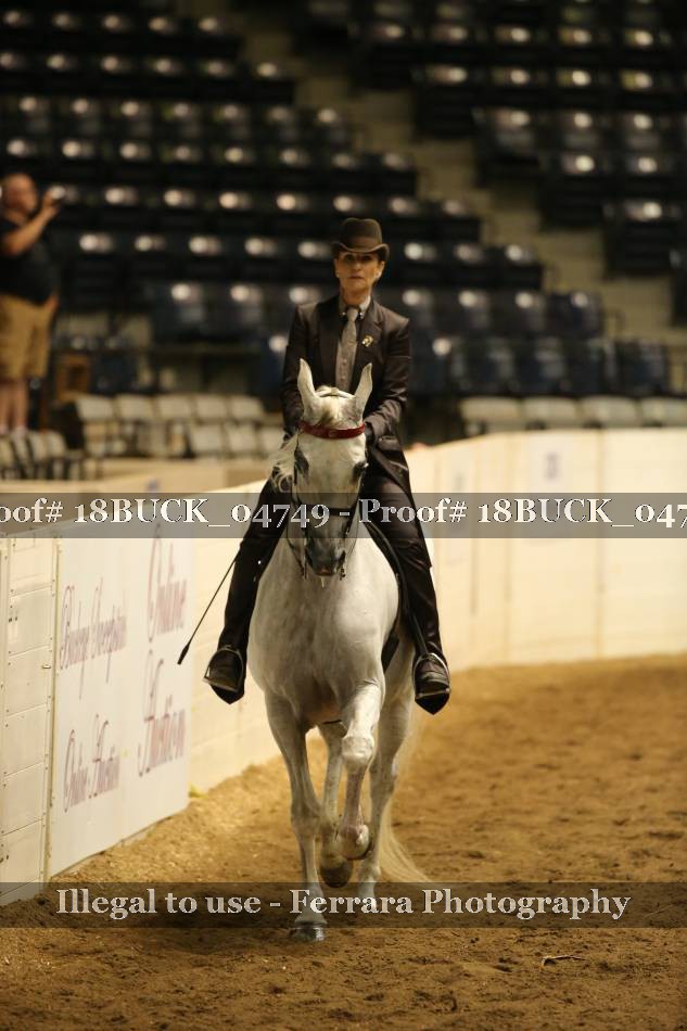 Proof 18BUCK_04749