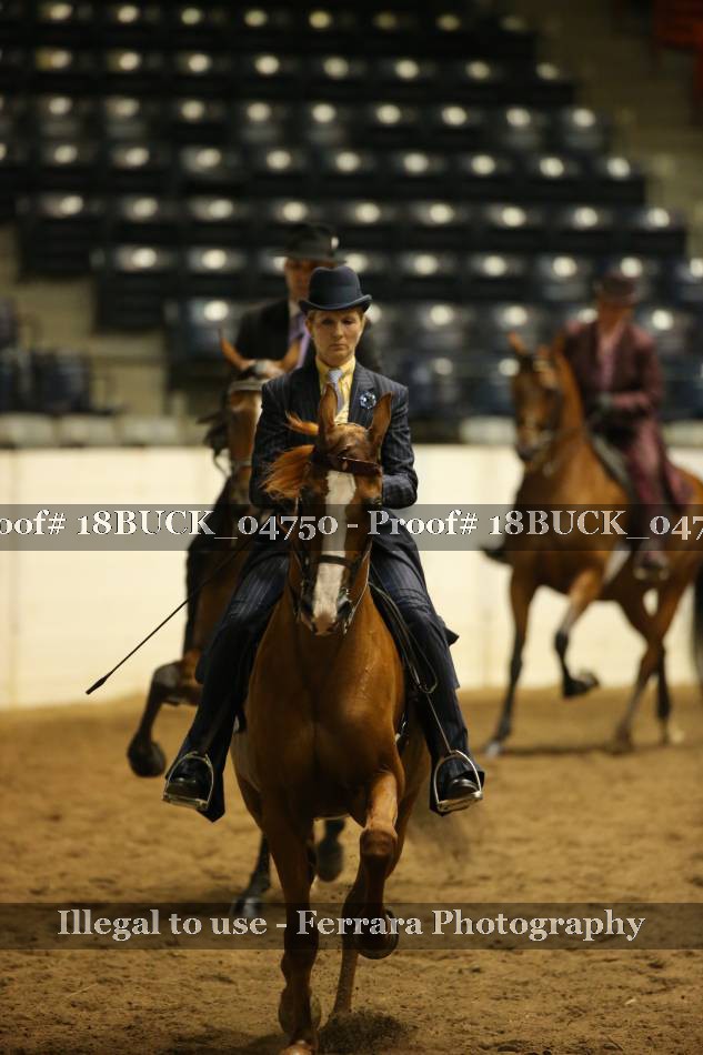 Proof 18BUCK_04750