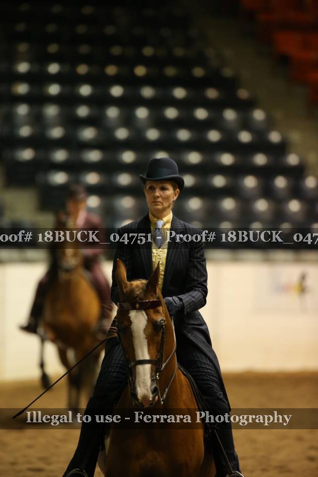 Proof 18BUCK_04751