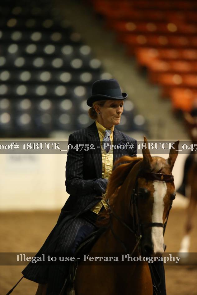 Proof 18BUCK_04752