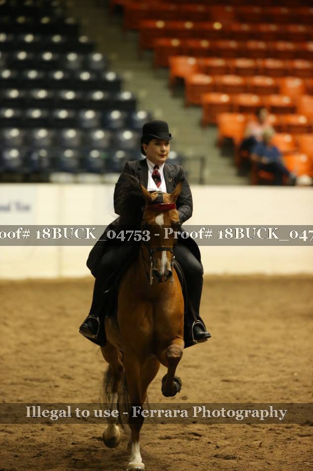 Proof 18BUCK_04753